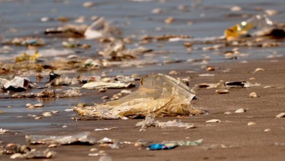 Convocatoria para la realización del Censo provincial de basura en la playa