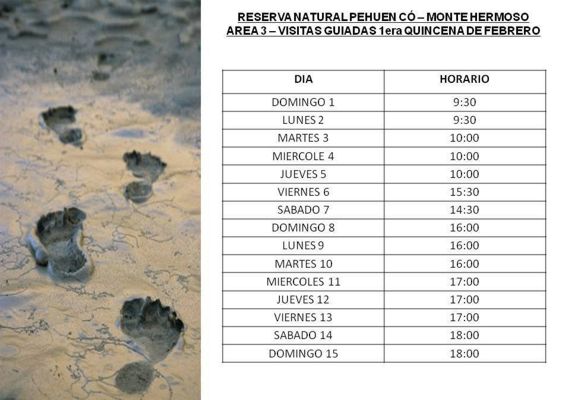 Guiadas a las huellas de 7 mil años de antigüedad