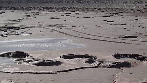 Reserva Provincial Pehuén Co – Monte Hermoso cumple 16 años